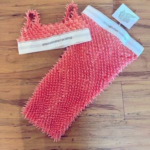 ALEXANDER WANG 2 piece Set skirt and top NWT